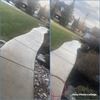 andrew_wilcox